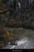 20081106_50