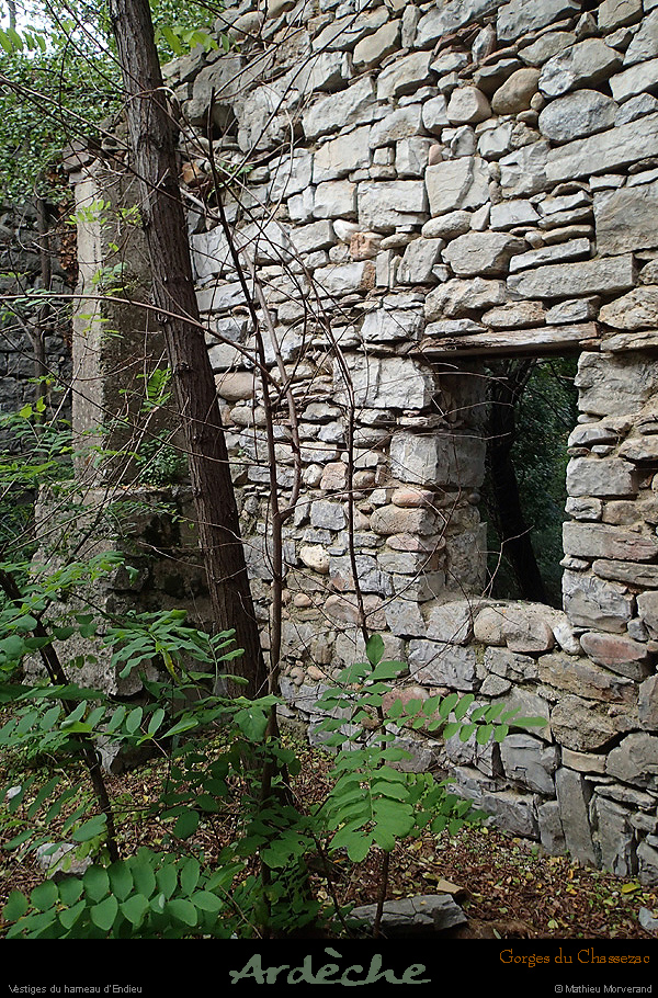 20151017_008