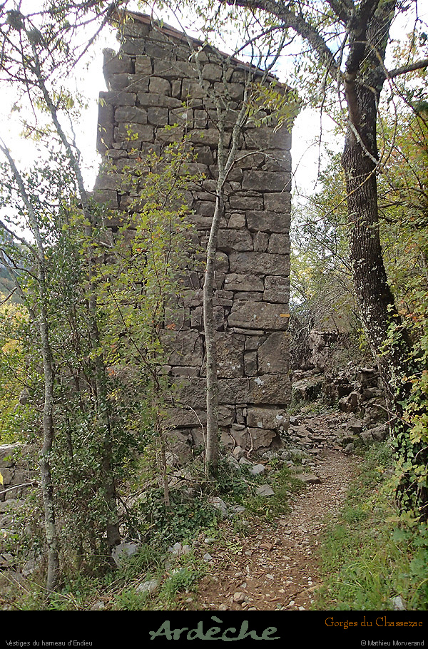 20151017_009