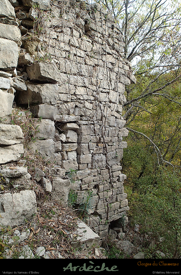 20151017_015