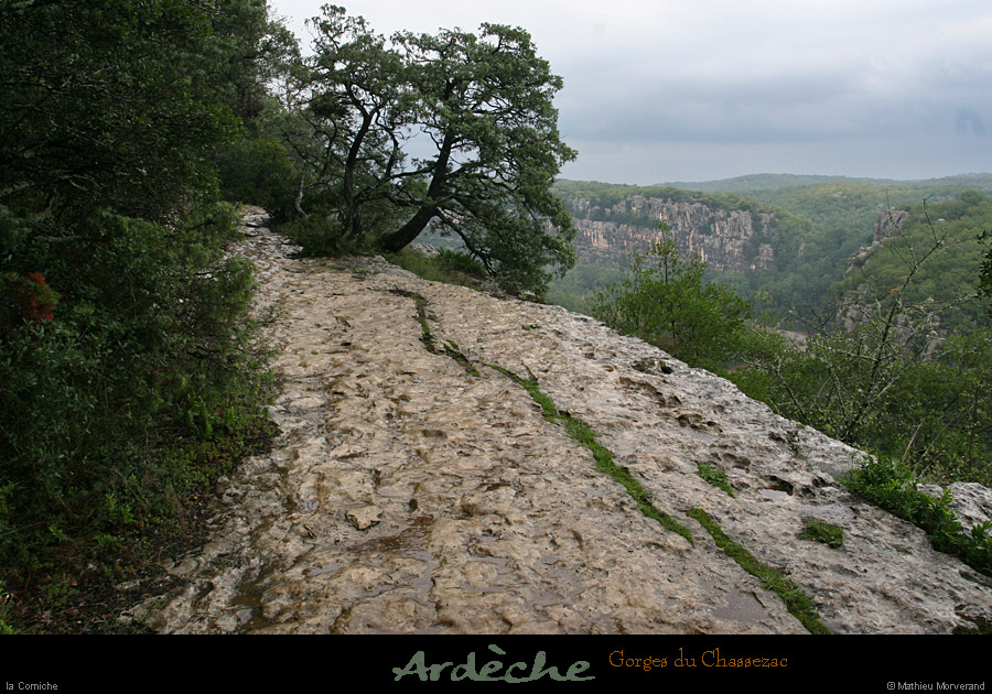 20051022_casteljau_sentier_2