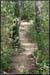 20051002_casteljau_sentier3