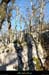20130117_casteljau_boisdelaserrehaute1