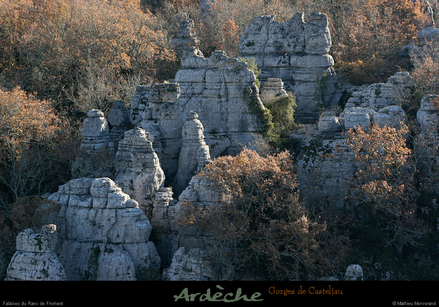 20101218_rancdefromentdebelvoiseaux03
