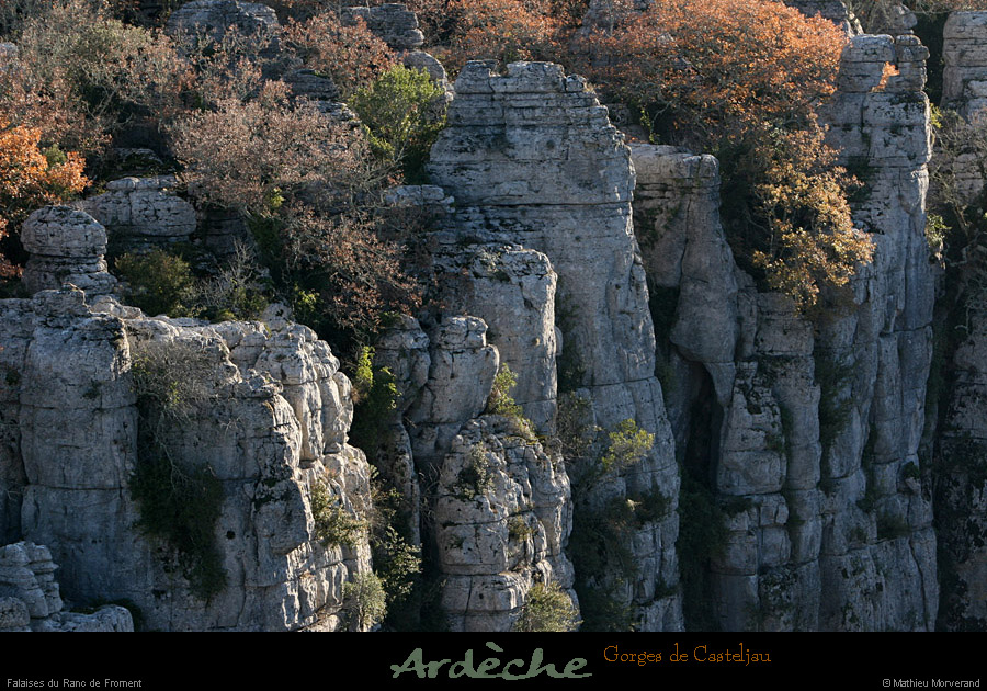 20101218_rancdefromentdebelvoiseaux04