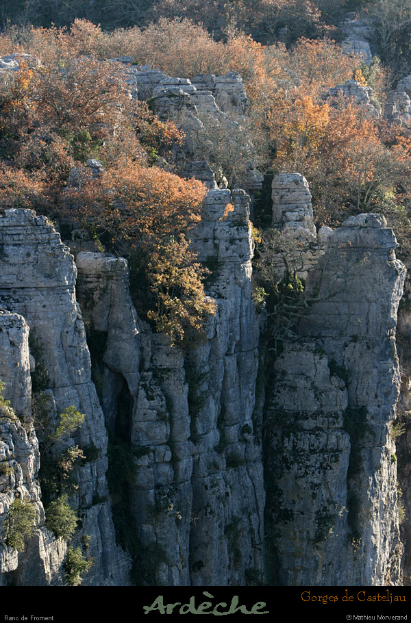 20101218_rancdefromentdebelvoiseaux08