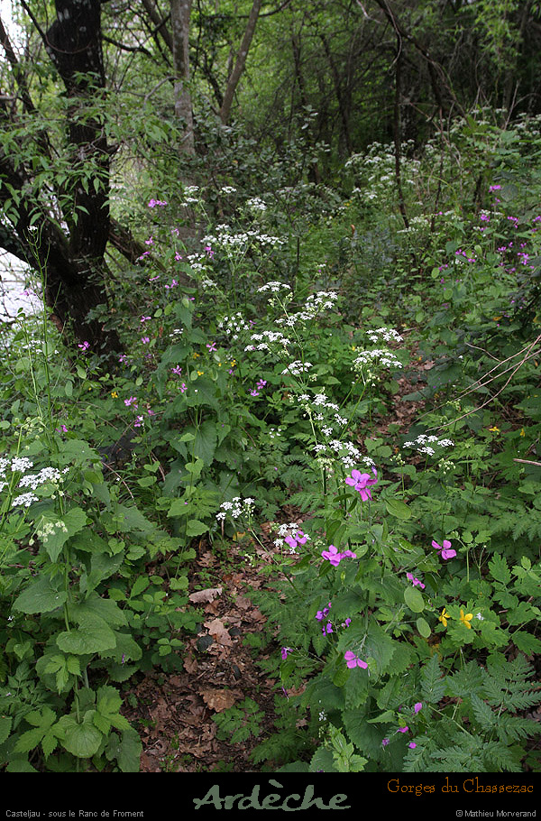 20130508_rdavrancdefroment1