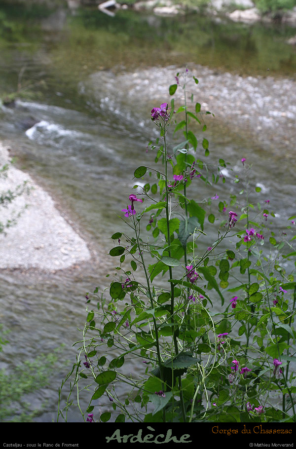 20130508_rdavrancdefroment2