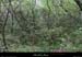 20130508_boissssrandefroment1