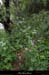 20130508_rdavrancdefroment1