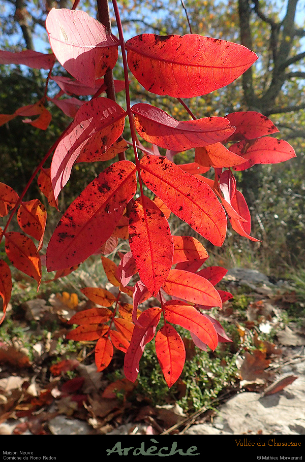 20161106_24