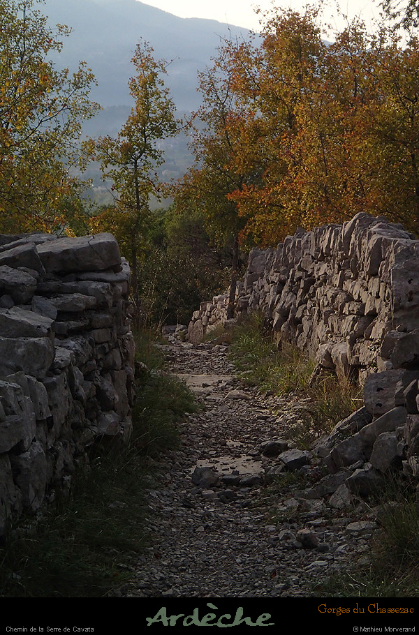 20151017_073