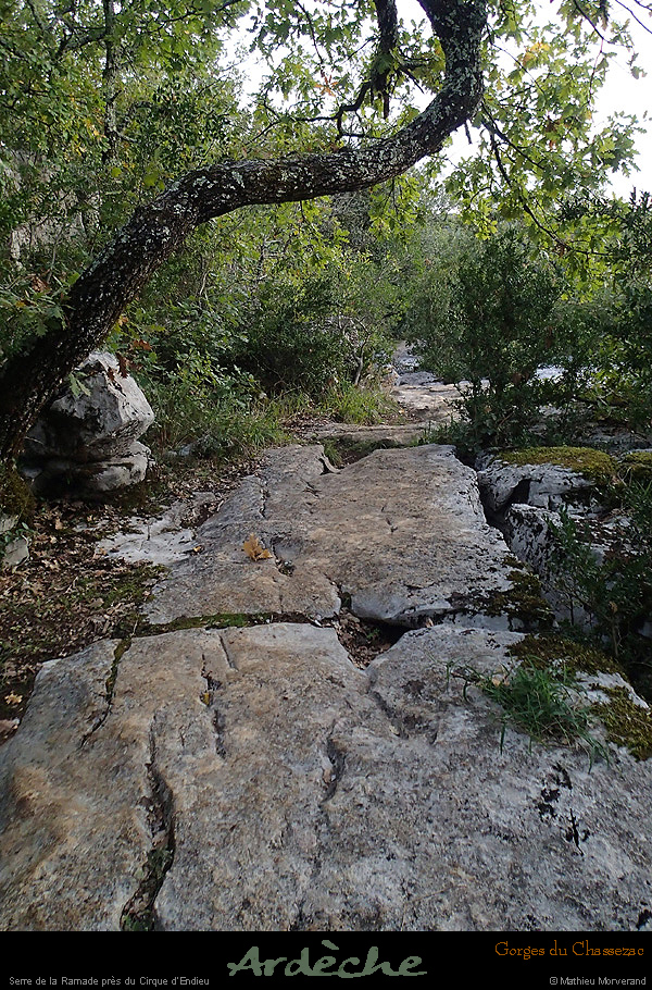 20151017_088
