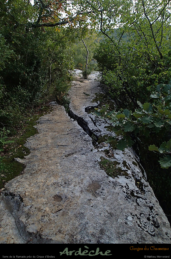 20151017_089