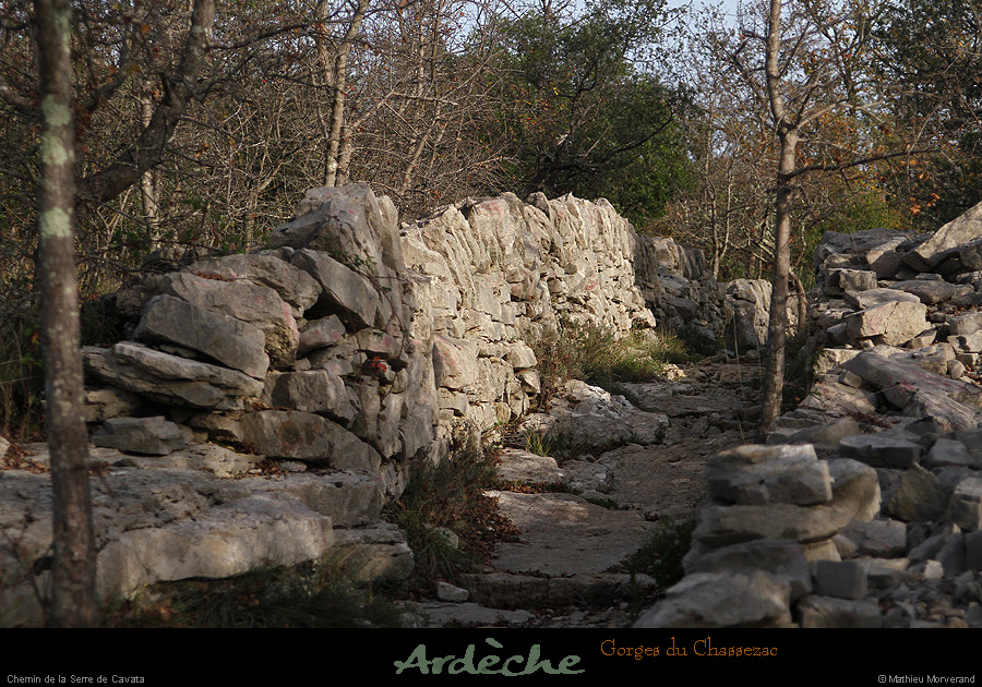 20151114_serrecavata1