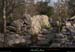 20151114_serrecavata1