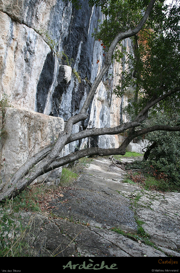 20100101_gorgescasteljau_viredestritons08