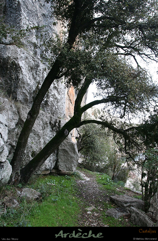20100101_gorgescasteljau_viredestritons10