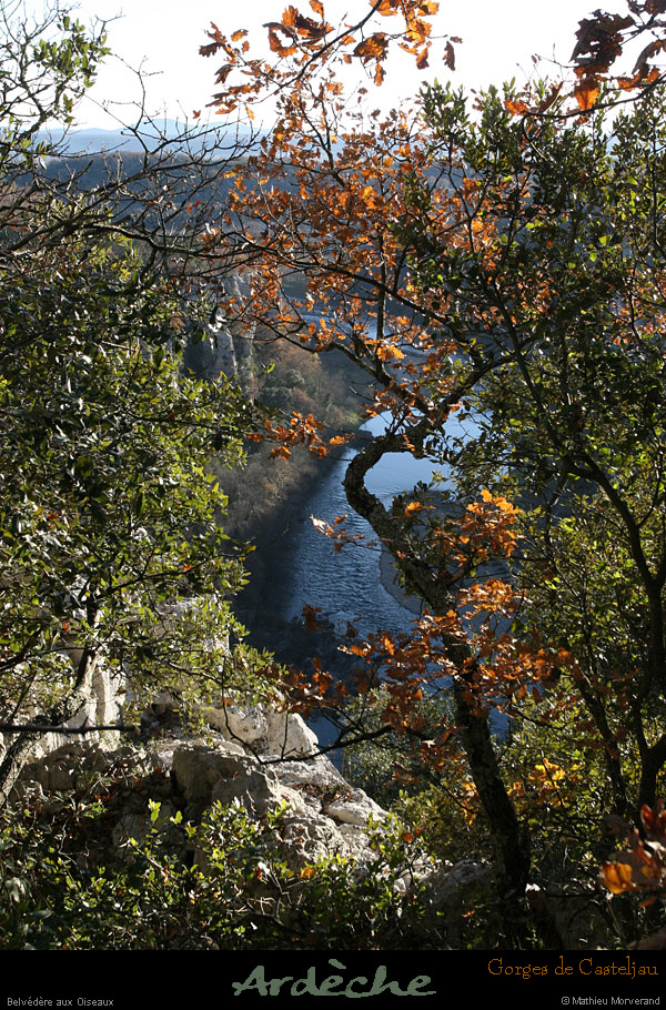 20101218_belvoiseaux05