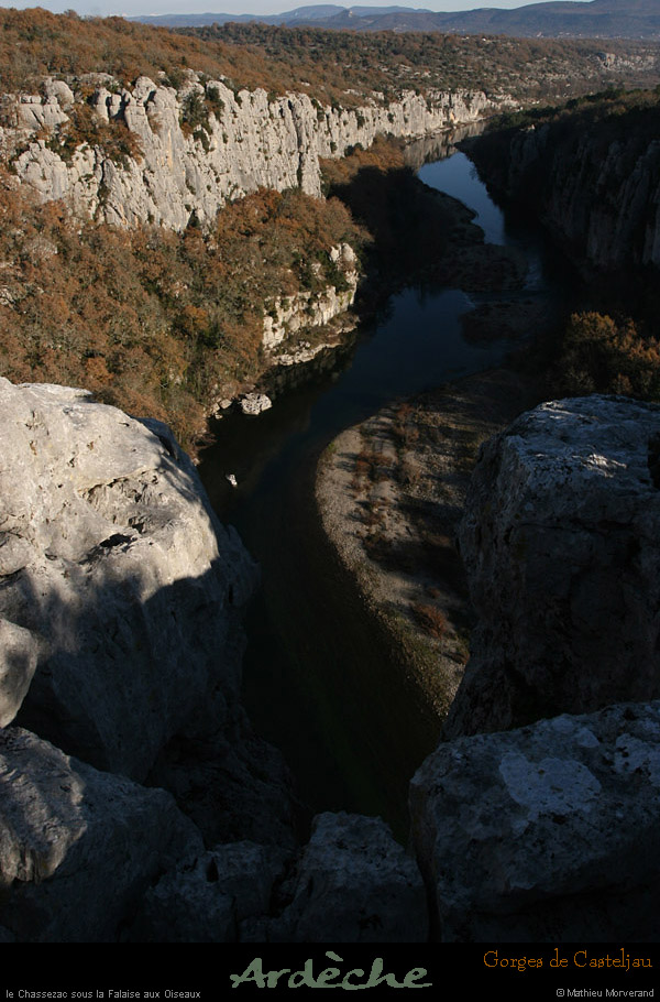 20101218_meandreescuredebelvoiseaux05