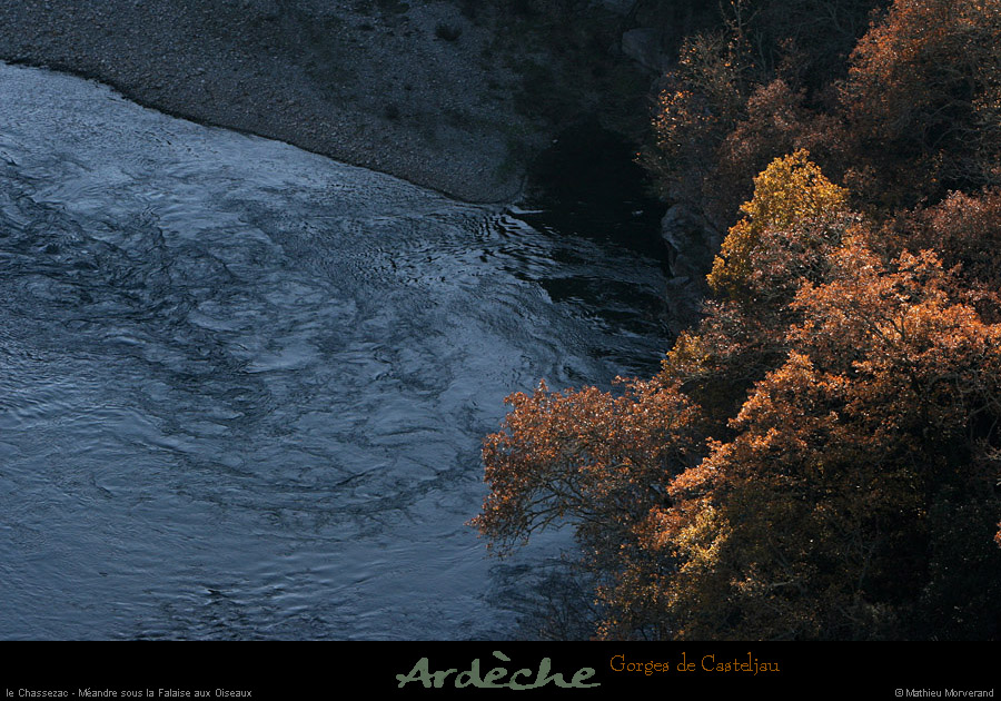 20101218_meandressfalaiseoiseaux2