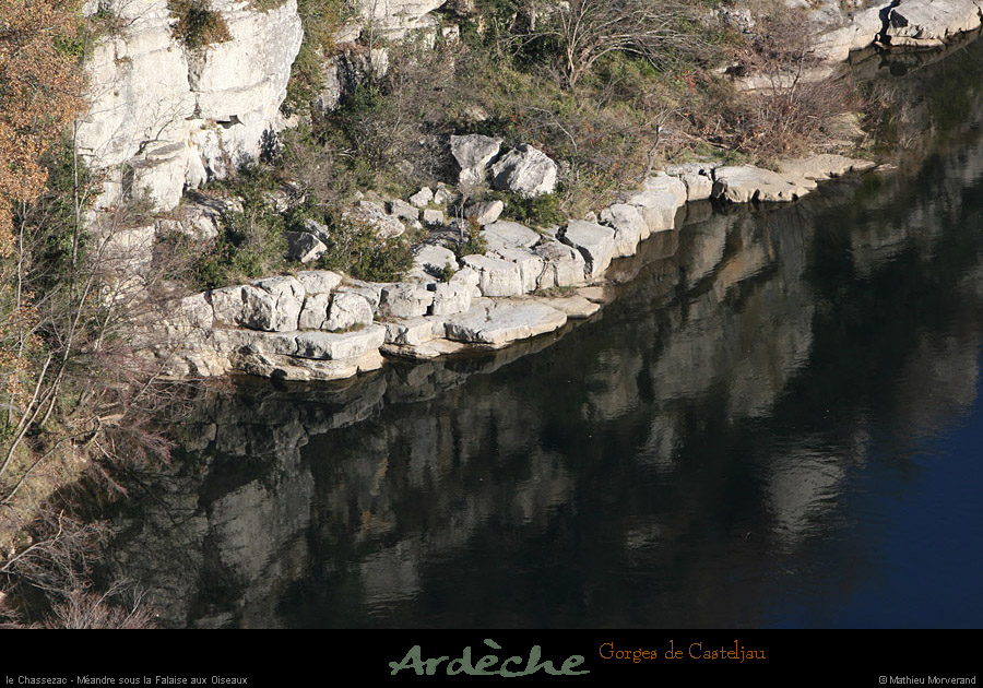 20101218_meandressfalaiseoiseaux4