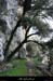 20100101_gorgescasteljau_viredestritons10