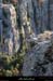 20101218_belvoiseaux03