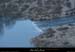 20101218_meandressfalaiseoiseaux5