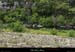 20130508_sourcetritons