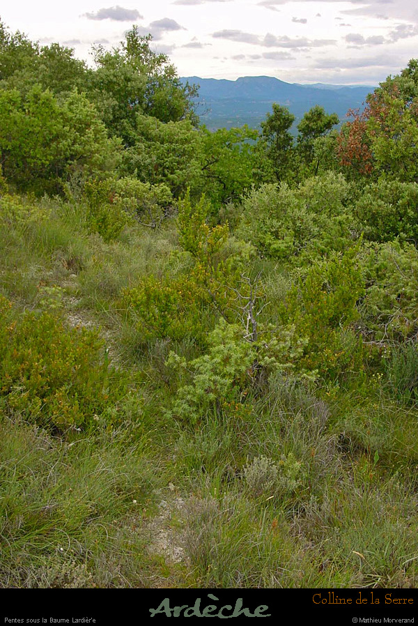 20000713_chamducrosdelabaumedelardiere1