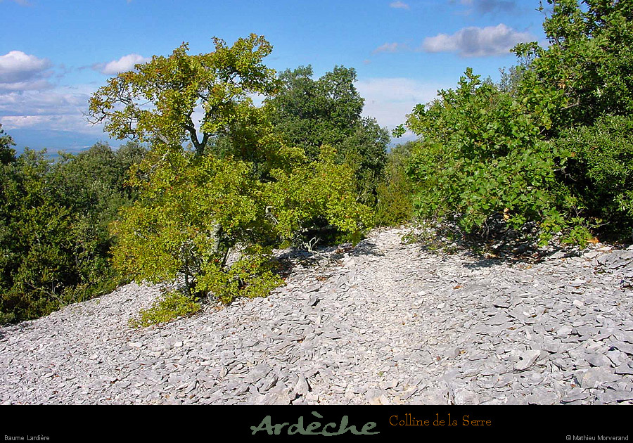 20000930_boisabaumelardiere_2