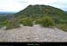 20130516_sampzon_baumelardieredepuismazut