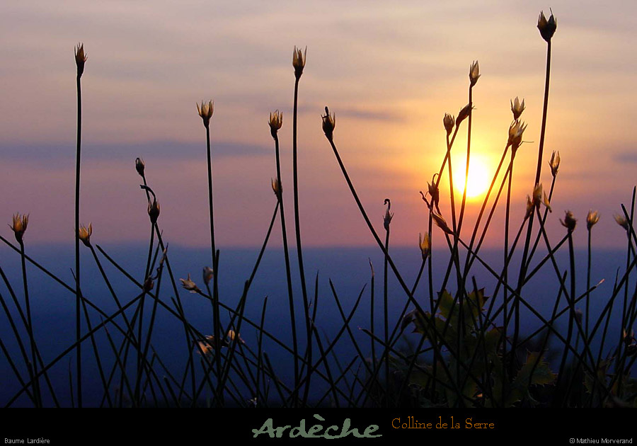 20010630_sunsetdebaumelardiere_10