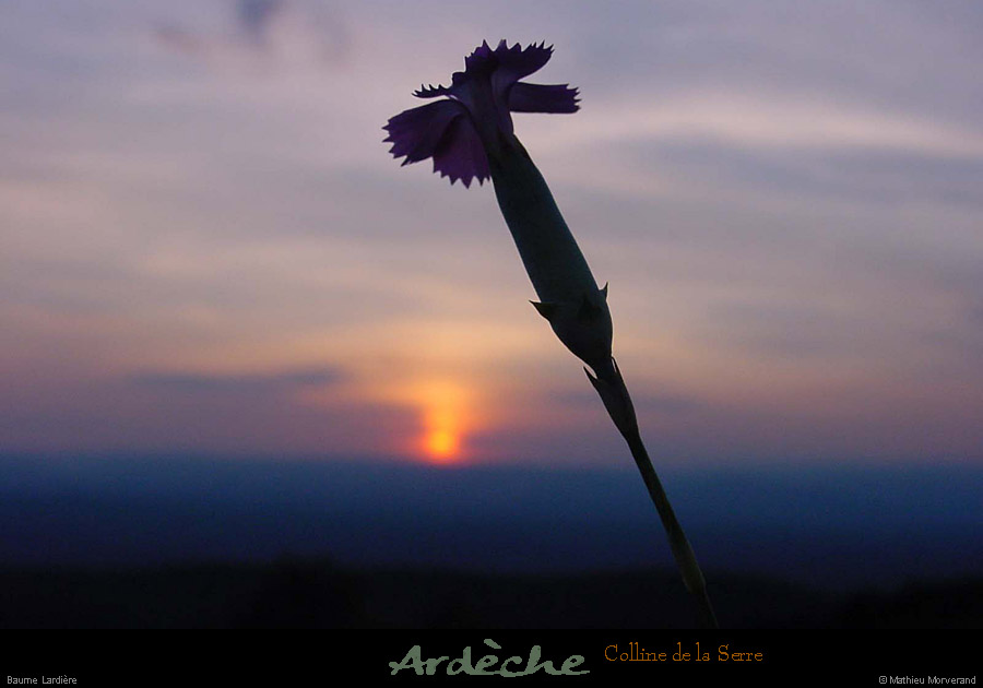 20010630_sunsetdebaumelardiere_13