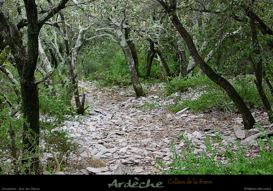 20010806_grospierres_lesplaines_chemin_1