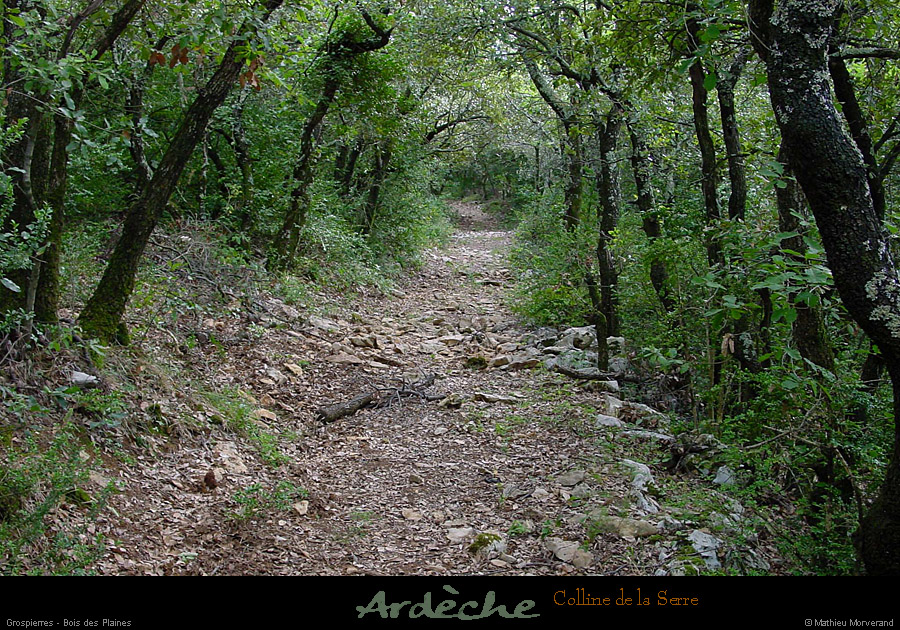 20010806_grospierres_lesplaines_chemin_5