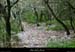 20010806_grospierres_lesplaines_chemin_1