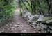 20010806_grospierres_lesplaines_chemin_2