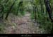 20010806_grospierres_lesplaines_chemin_5