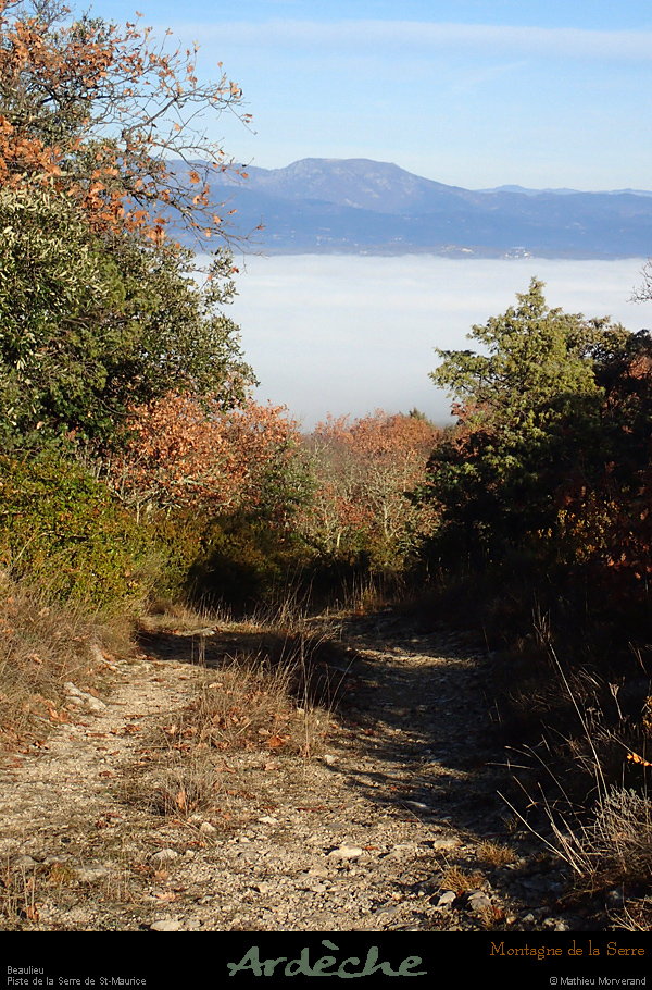 20161211_166