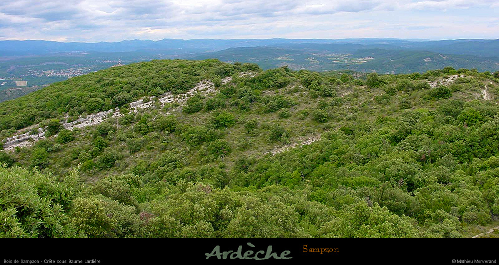 20000713_vivaraisdelabaumedelardiere