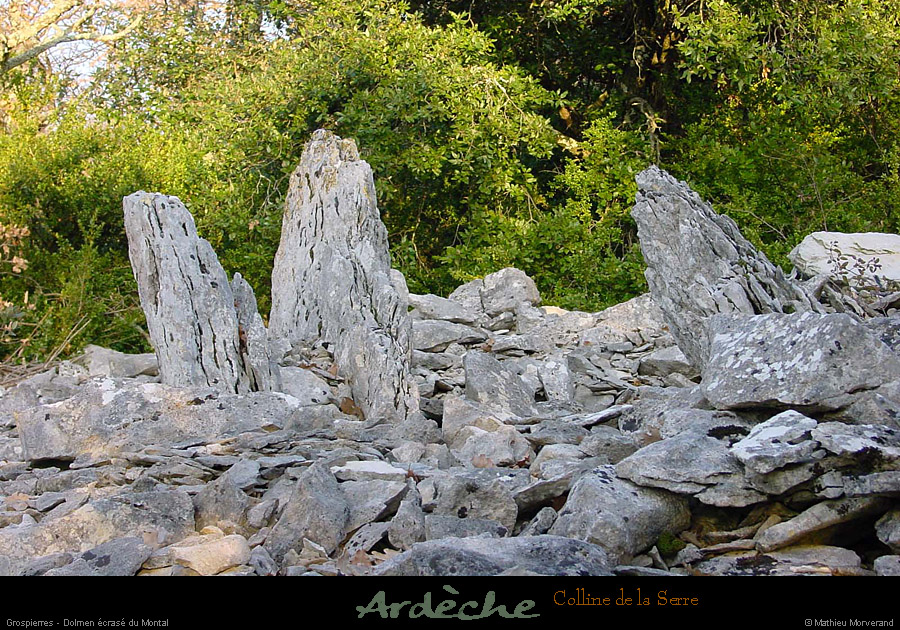 20010218_sampzon_chemindumontal_dolmen