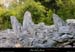 20010218_sampzon_chemindumontal_dolmen