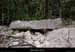 20010806_grospierres_lesplaines_dolmen1_2