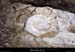 20020502_sampzon_mazud_fossile_1