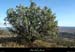 20121230_bessas_puylacher_cade1