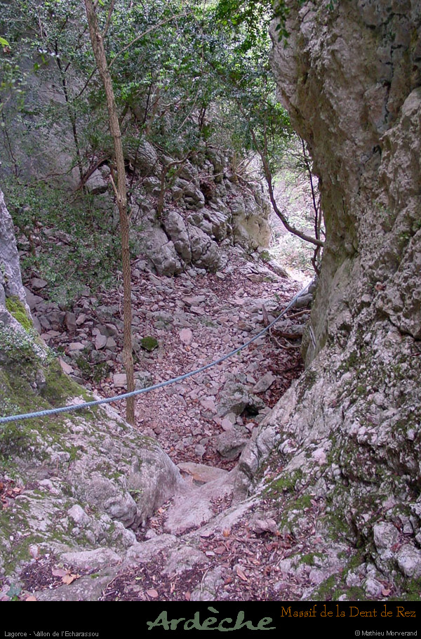 20020414_gorgesdelecharasson_sentier_6
