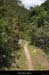 20130526_lagorce_baravon_vallon_sentier