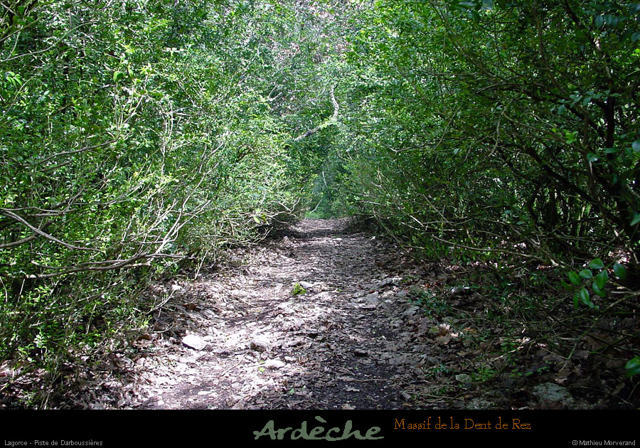 20010503_darboussieres_sentier_1